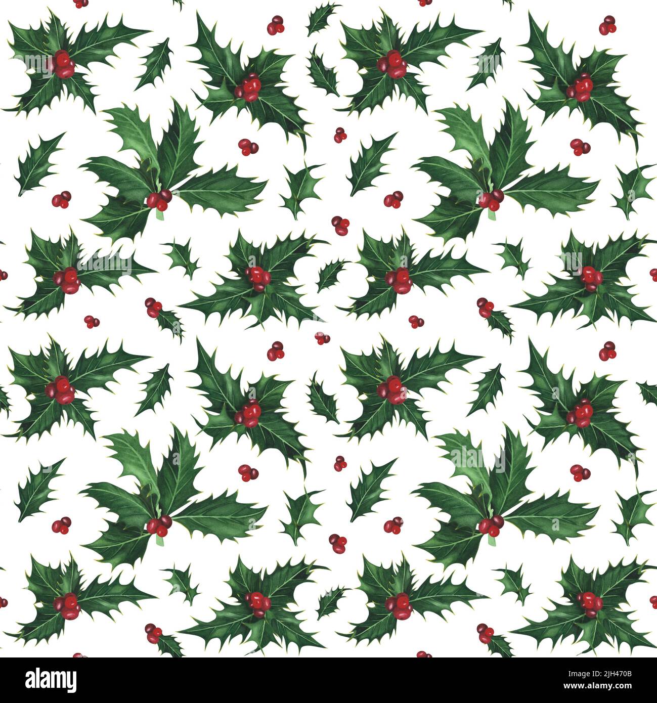 Christmas plant holly seamless patternon white background. Watercolor ...