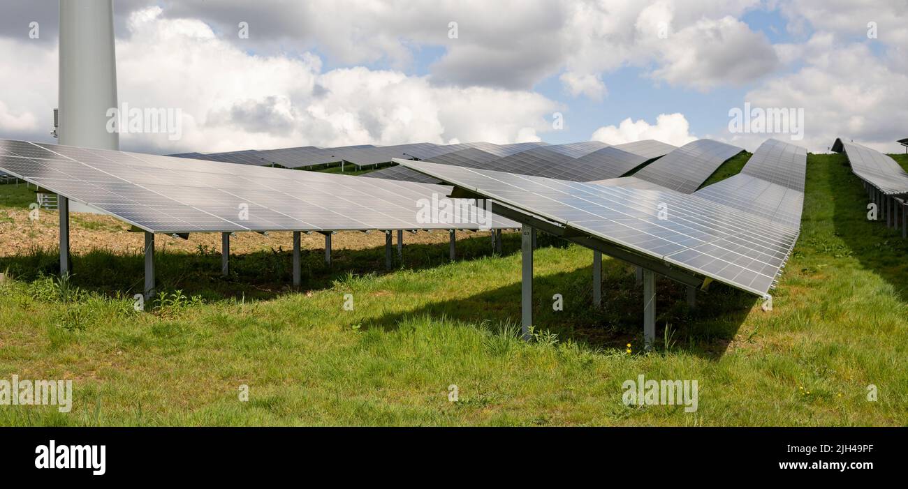 Solar Panels And Wind Turbines In Grassy Field With Sunlight ...