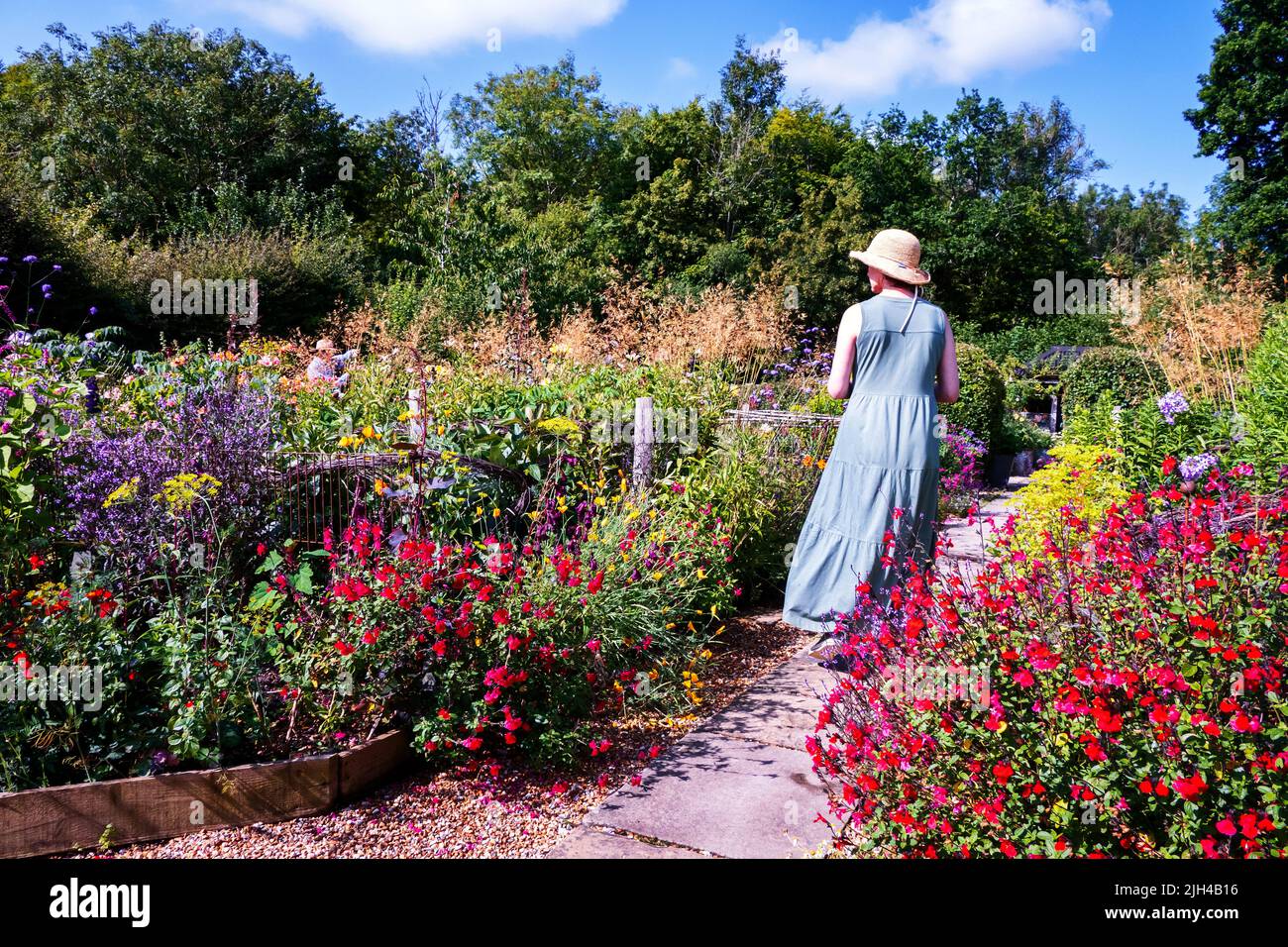 Perch Hill garden in July East Sussex UK Stock Photo Alamy