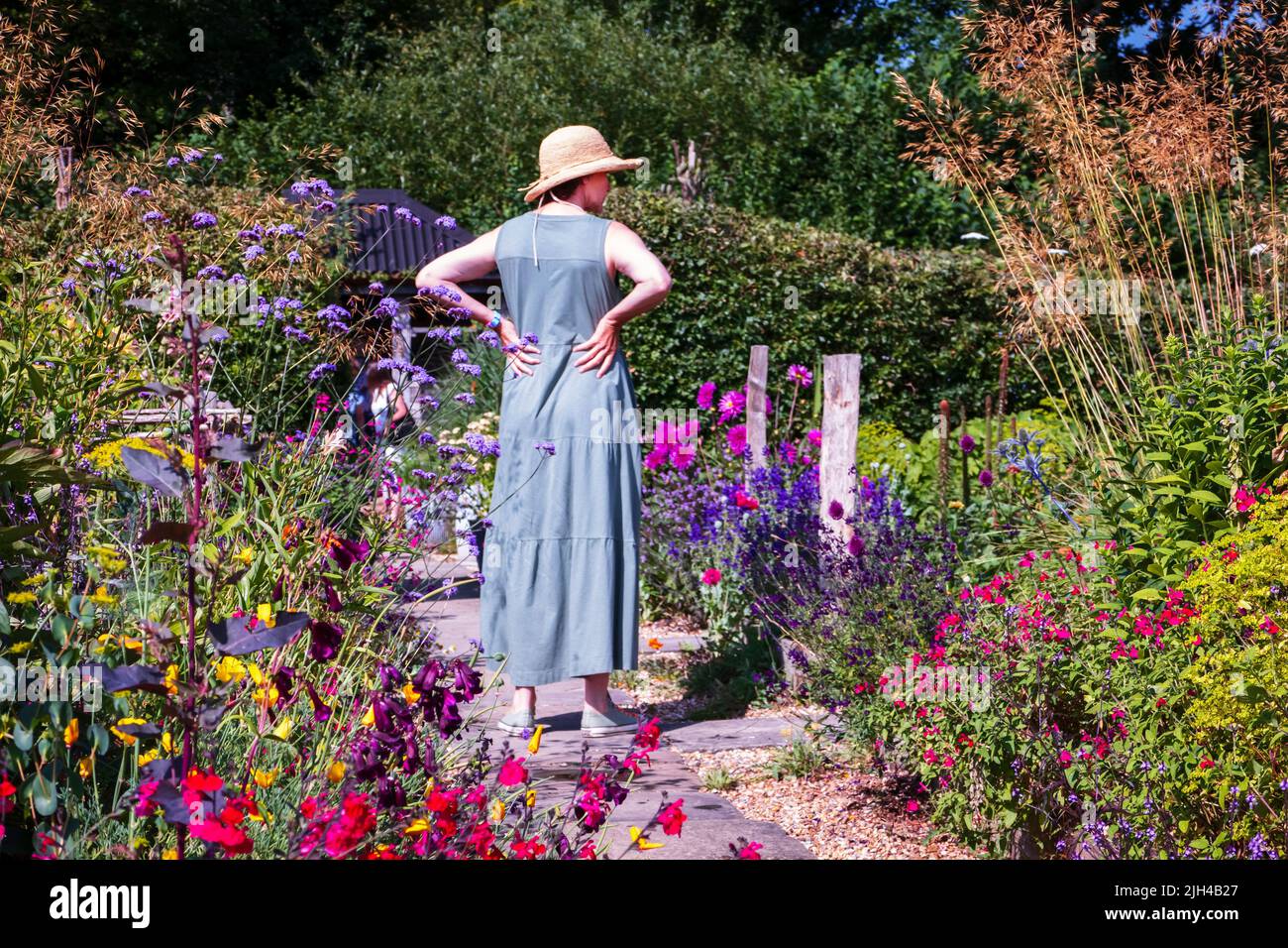 Perch Hill garden in July East Sussex UK Stock Photo Alamy