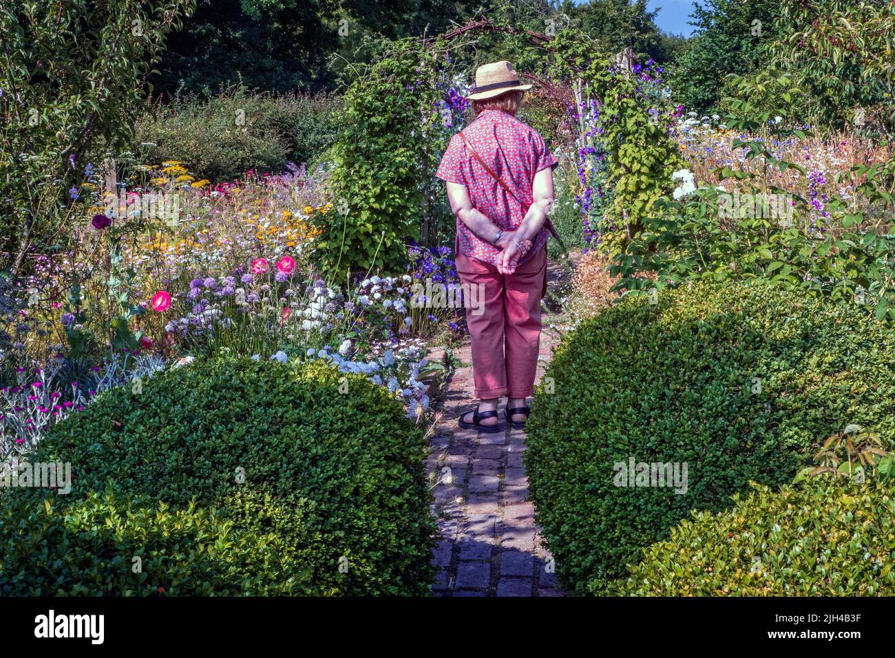 Perch Hill garden in July East Sussex UK Stock Photo