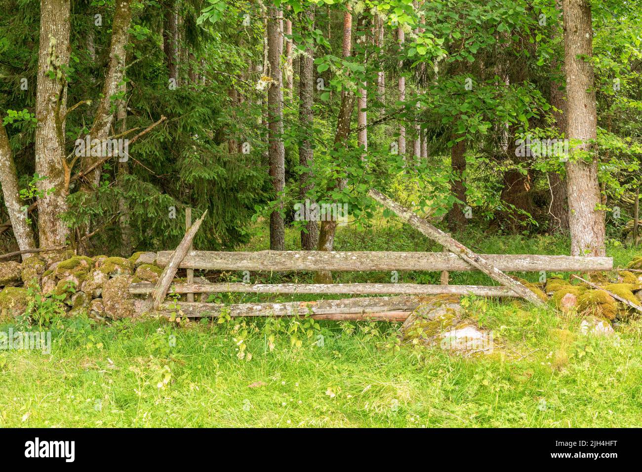 Opening in a fence hi-res stock photography and images - Alamy