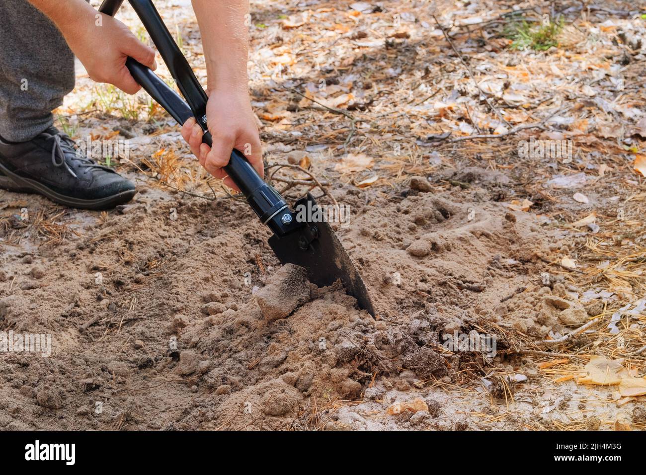 Man digs soil with a shovel in the forest. Black shovel in human hands. Sunny. Stock Photo