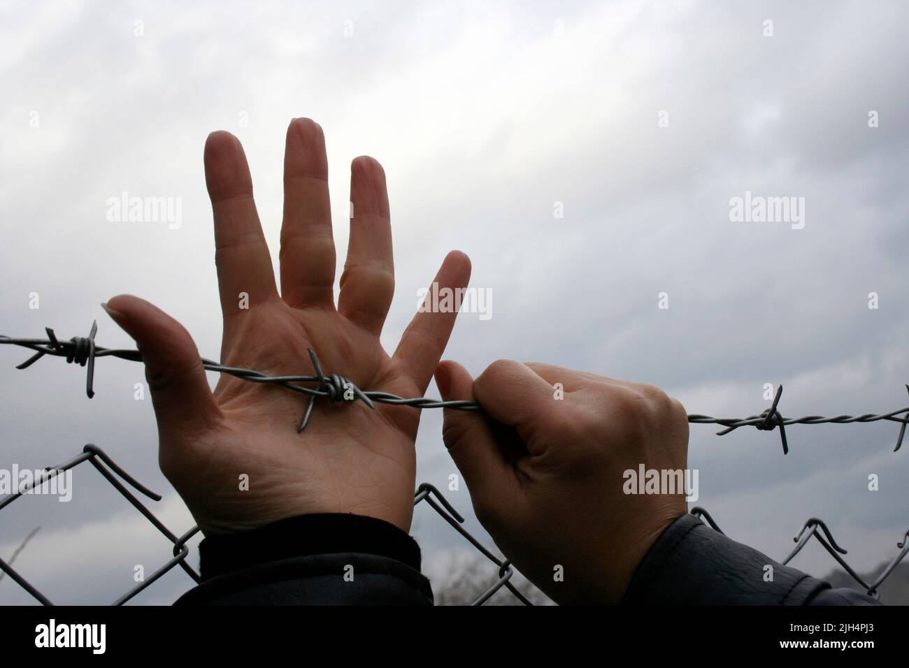 barbed wire mesh and woman's hands Stock Photo Alamy