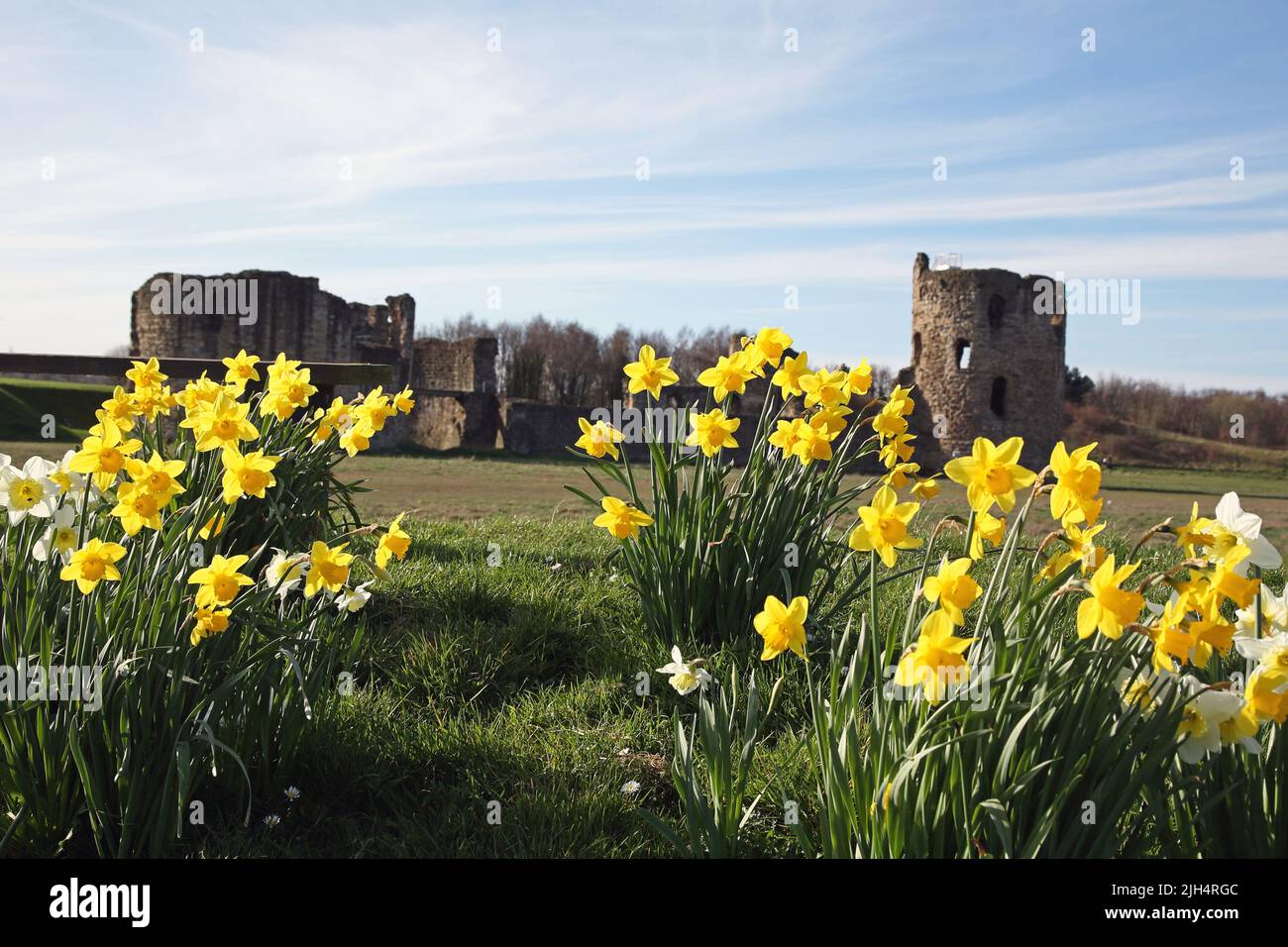 Flint Castle, Flintshire, North Wales Stock Photo