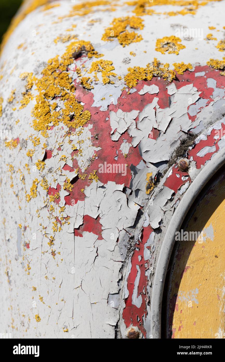 Weathered grey, red and yellow peeling paint with yellow lichen on an old metal truck cab Stock Photo