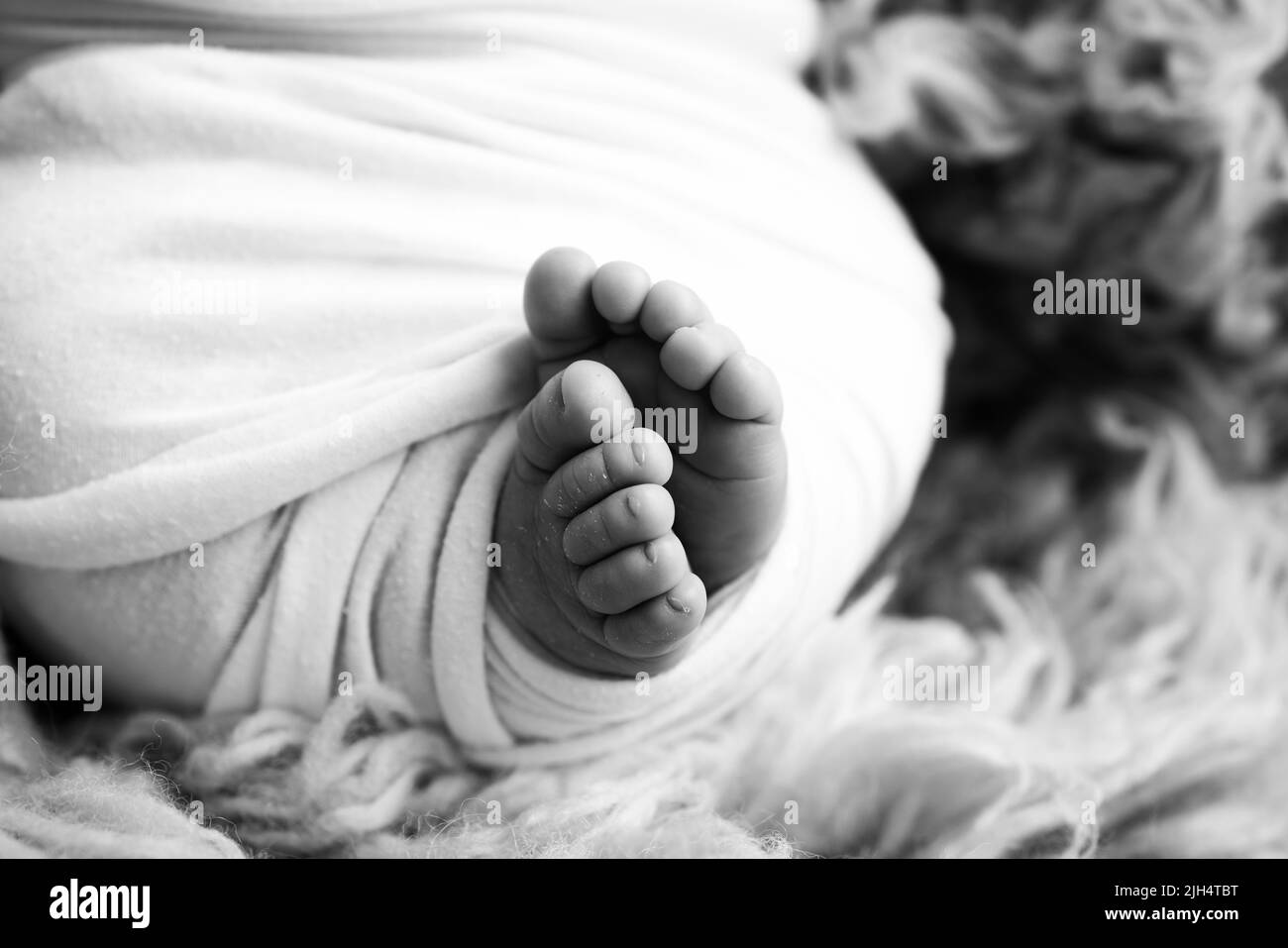 Close-up of toes, heels and feet of a baby.The tiny foot of a newborn. Baby feet covered with isolated background. Stock Photo