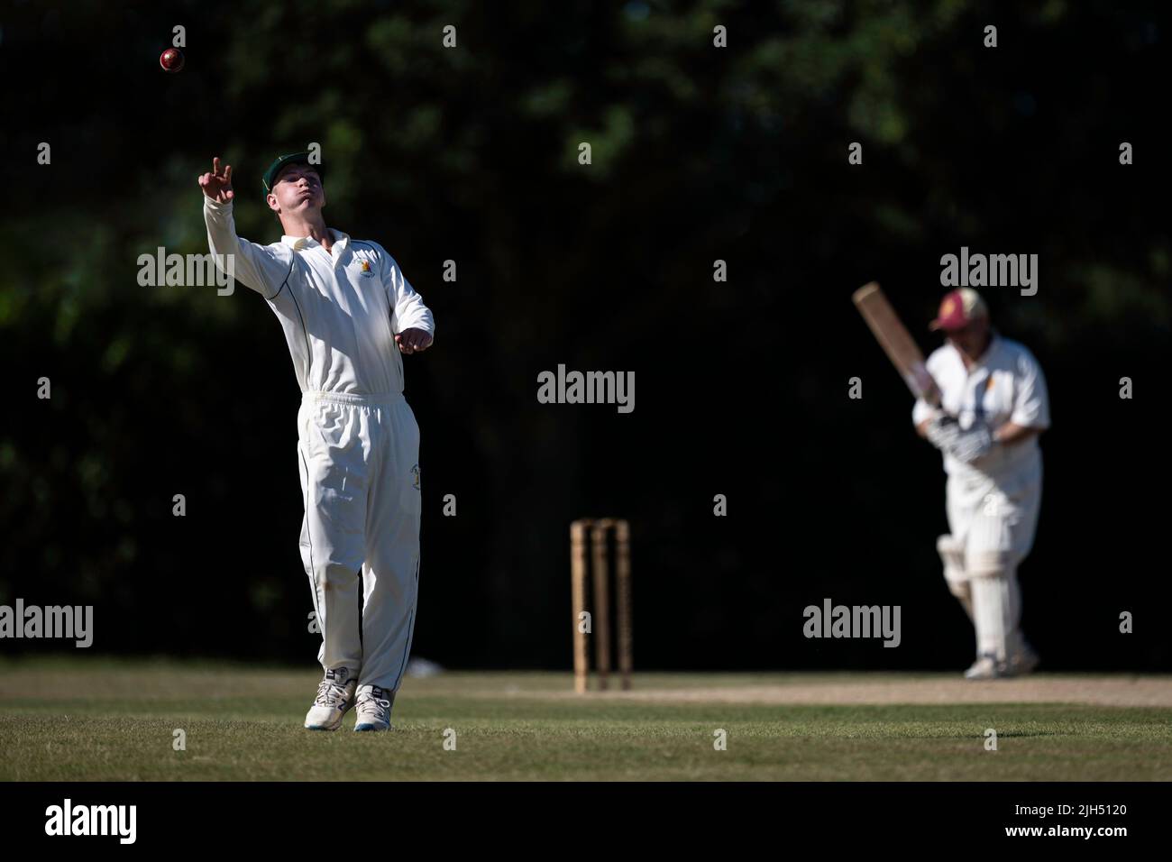 Cricket fielder throwing cricket ball Stock Photo Alamy