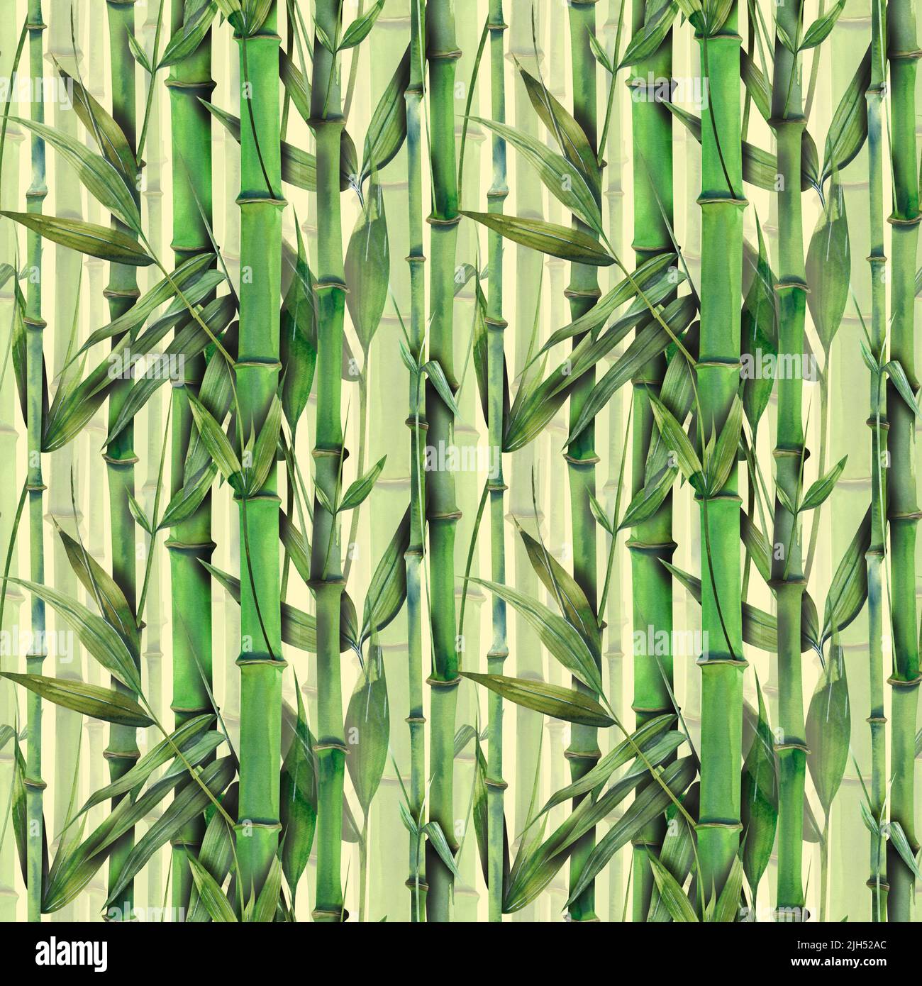 Bamboo in Japanese style. Watercolor hand painting illustration