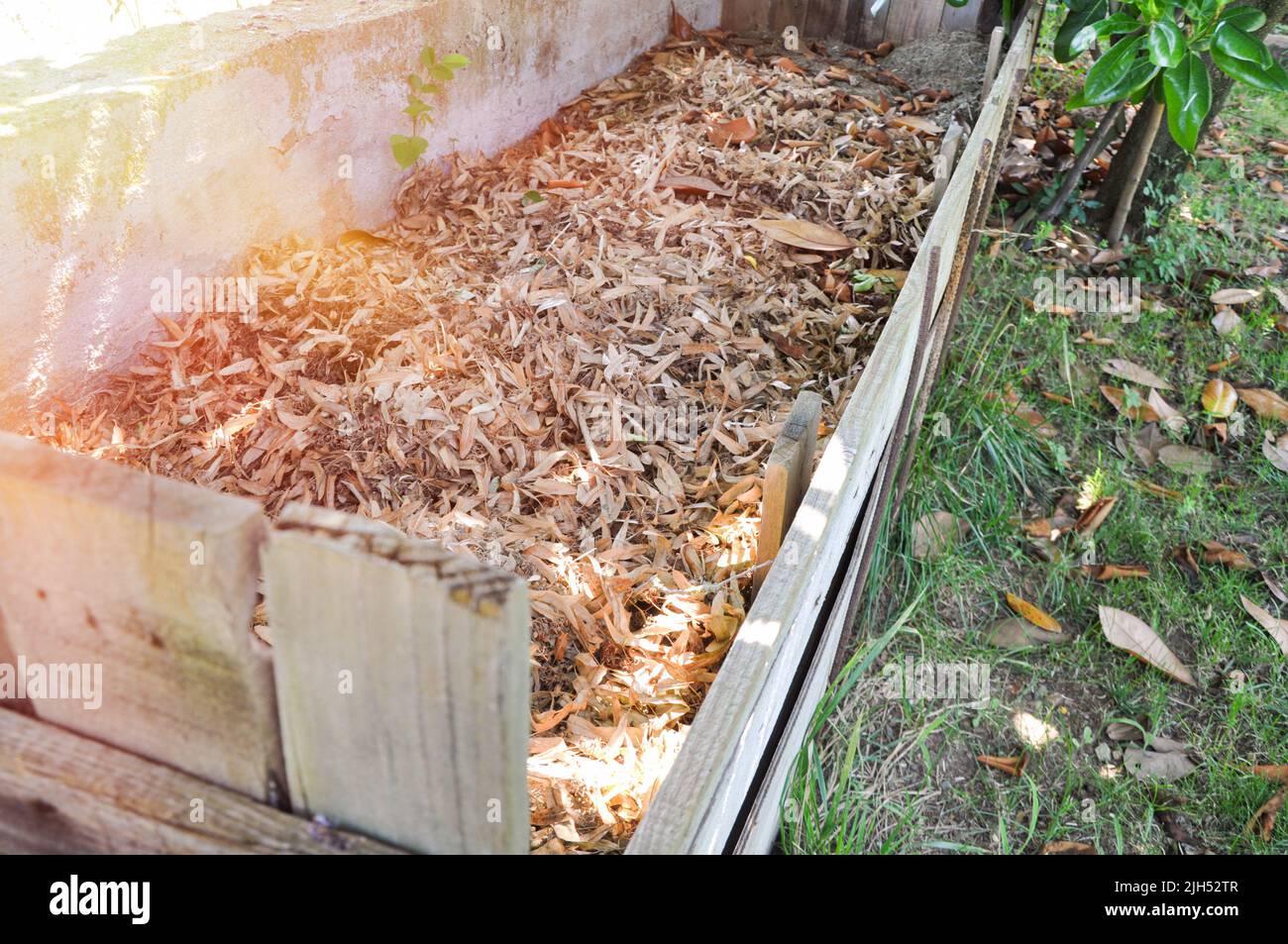 Composting of cut grass and fallen leaves to enrich soil. Leaf mulch