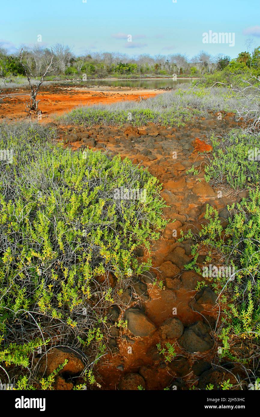 Image Result For Galpagos Islands Maps Unesco World Heritage Centre