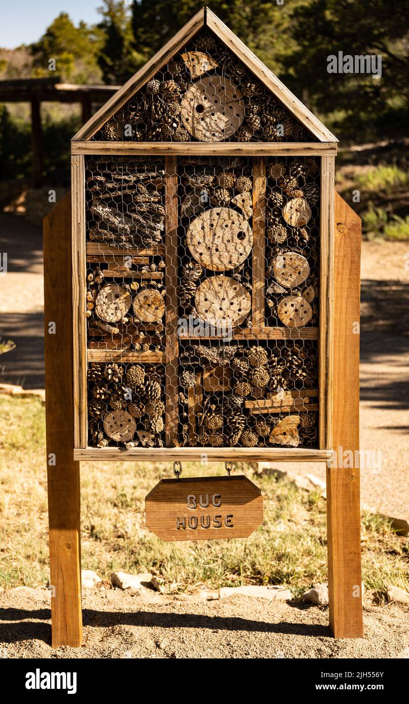 Ecological Bug House Display offers ways to see how insects eat trees