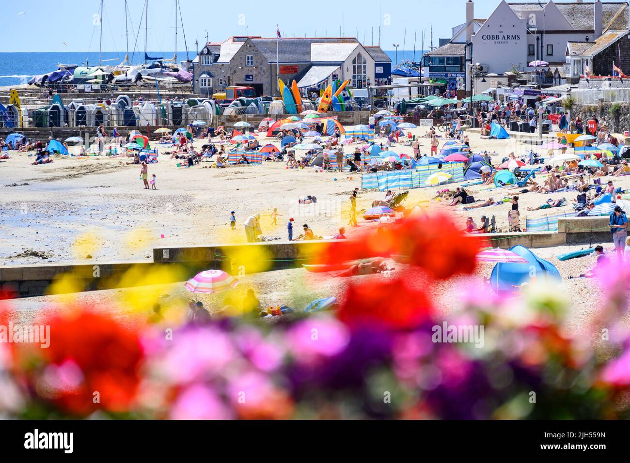 Lyme Regis, Dorset, UK. 15th July, 2022. UK Weather Beachgoers flock