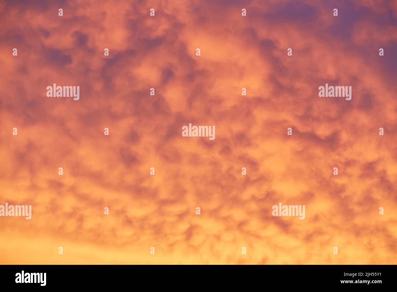 Cloudscape of cumulus sunset clouds with sunlight Stock Photo - Alamy