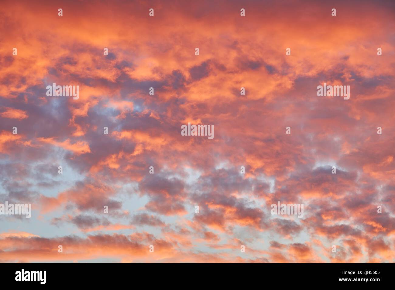 Panorama sunset sky for background or sunrise sky and cloud at morning ...