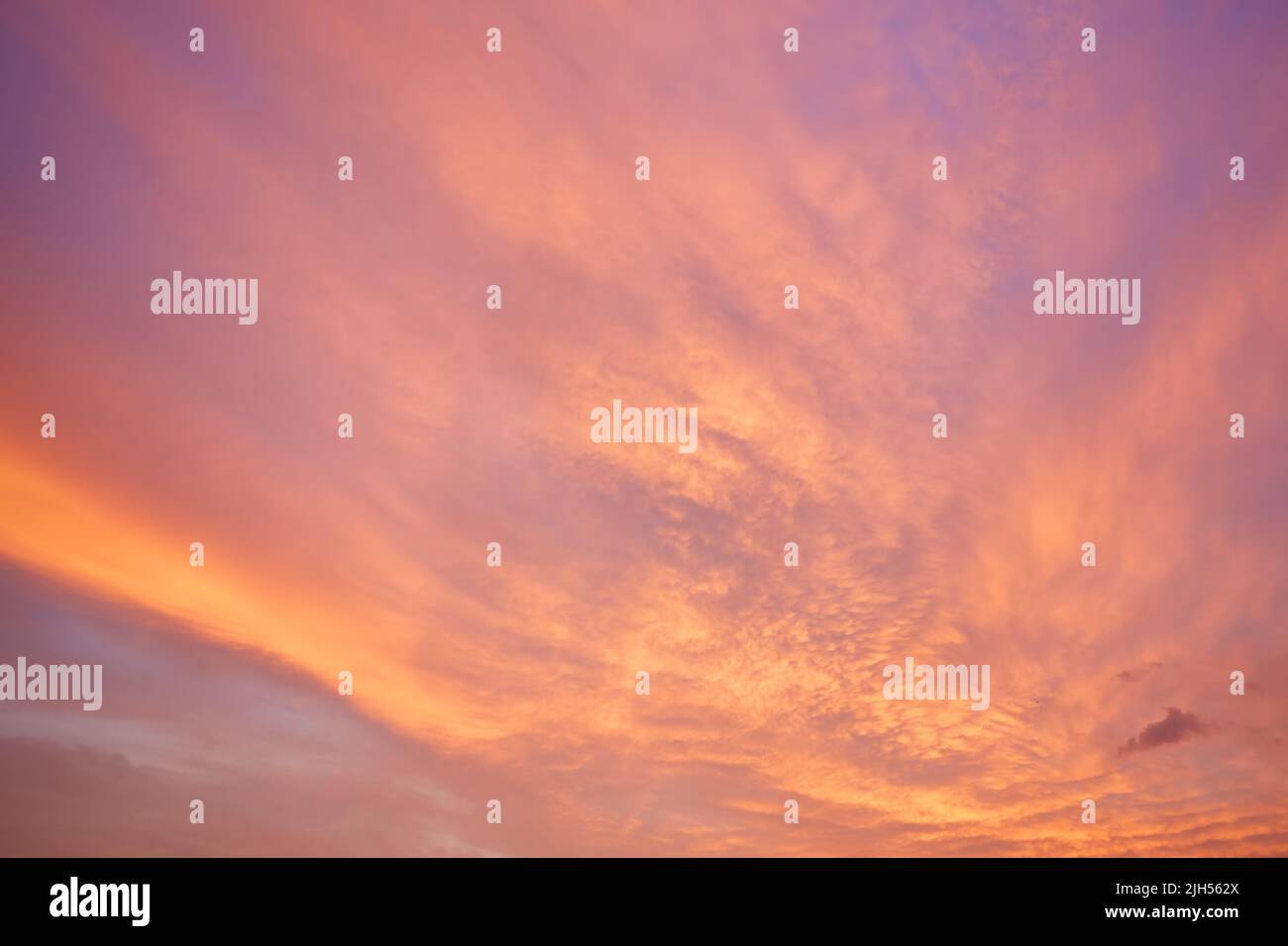 Cloudscape of cumulus sunset clouds with sunlight Stock Photo - Alamy