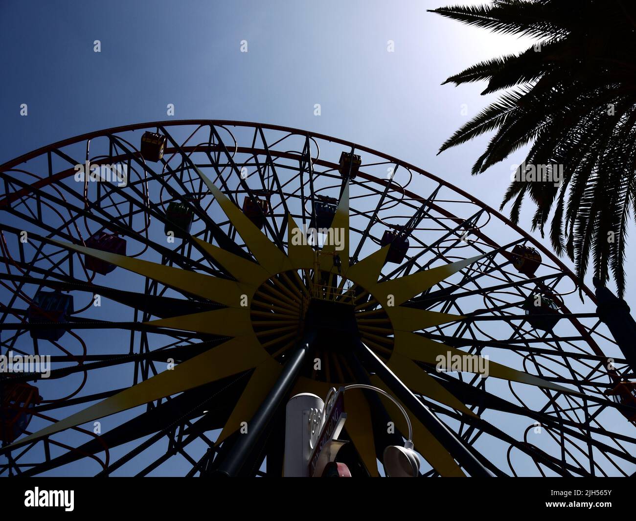 Mickey's Fun Wheel with Palm Tree at Disney California Adventure Park Stock Photo