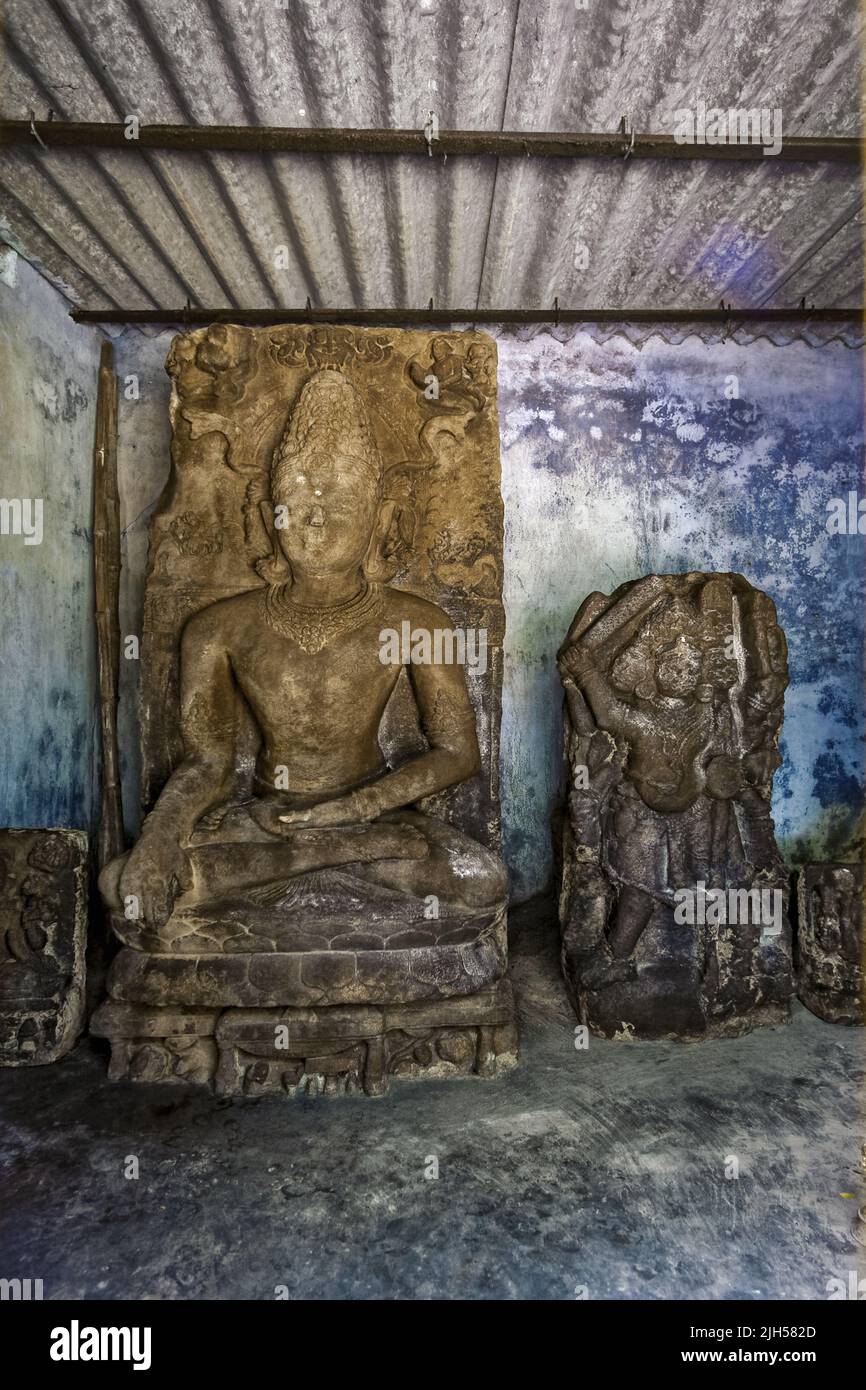 Kuruma Hi Res Stock Photography And Images Alamy