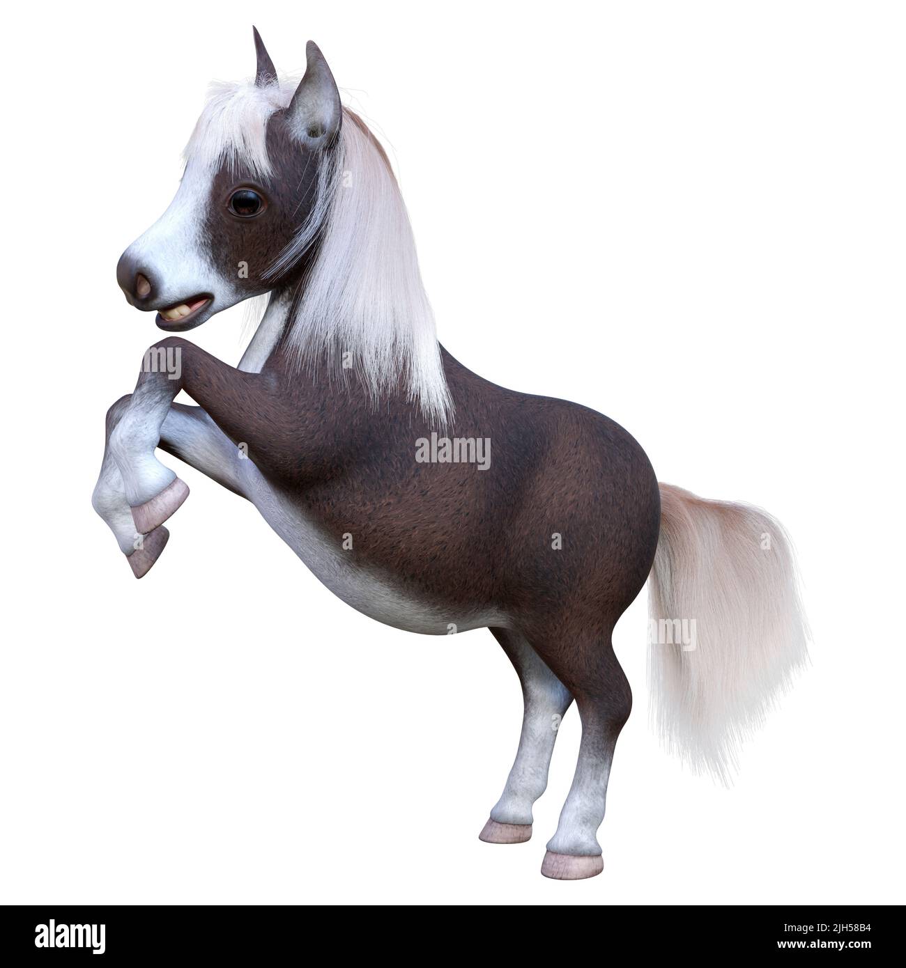 3D rendering of a pony or a small horse or Equus ferus caballus isolated on white background Stock Photo