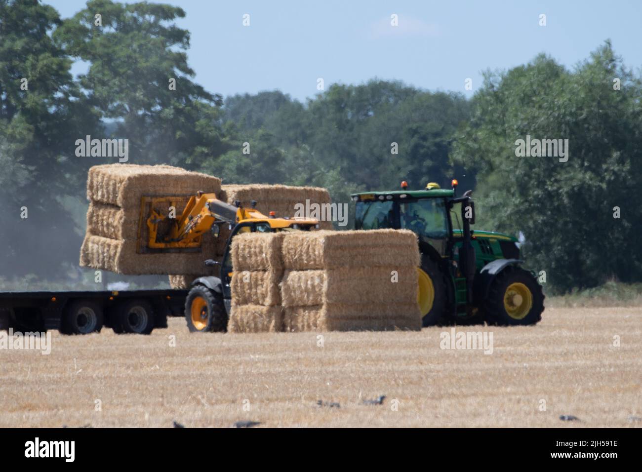 Eton, Windsor, Berkshire, UK. 15th July, 2022. Following the harvest in a field of wheat, farmers put bales of straw onto a trailer in Eton on another very hot day. The Met Office has declared a UK National Emergency by issuing the first ever Level 4 Red Alert warning for most of the UK. Record temperatures are expected on Monday and Tuesday as the heatwave continues which could pose a danger to life. Credit: Maureen McLean/Alamy Live News Stock Photo