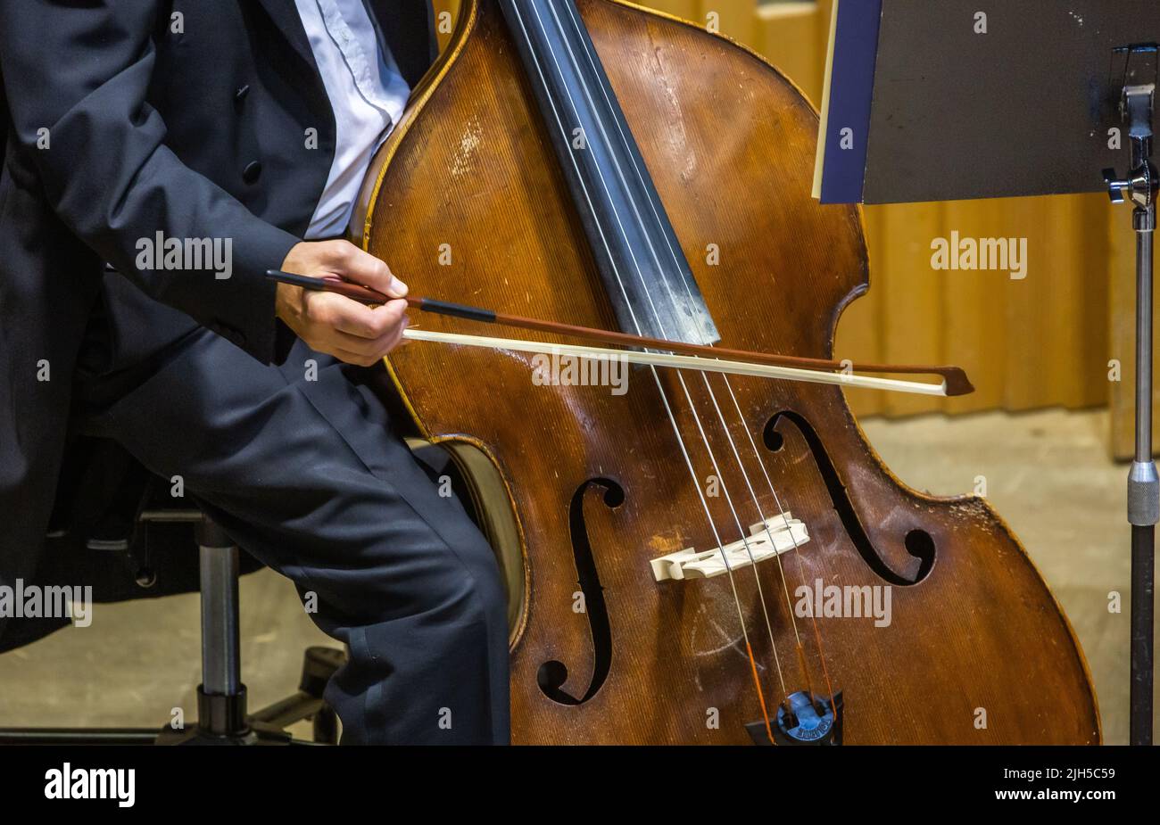 Philharmonic orchestra playing on the double bass, performance concert, classical music concept Stock Photo