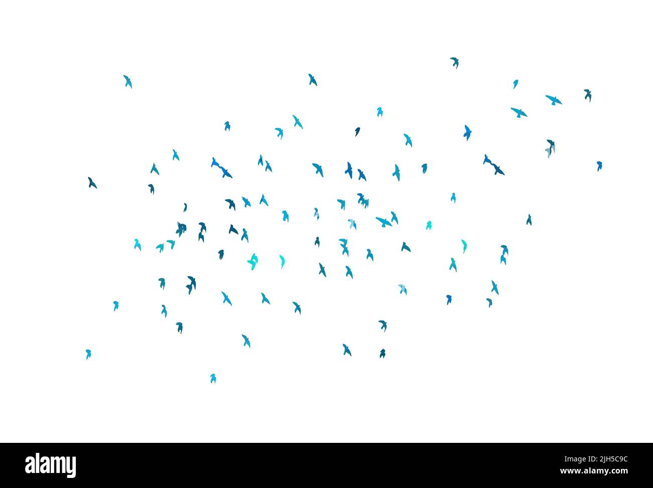 Bird watercolor. A flock of blue birds. Mixed media. Vector