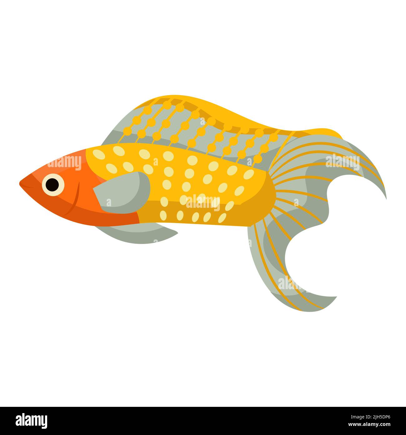Molly Fish Graphics Mollies fish aquarium water animal nature and vector underwater aquatic ...