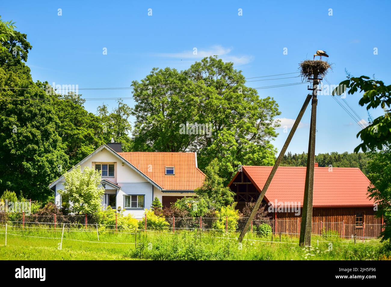 House in Kurtuvenai with stork nest on top of electric post in Lithuania countryside - Kurtuvenai. National symbolic bird in Lithuania Stock Photo