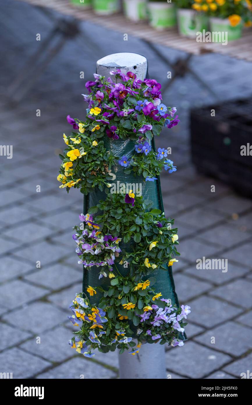 Day and night shade hung to grow on a post Stock Photo