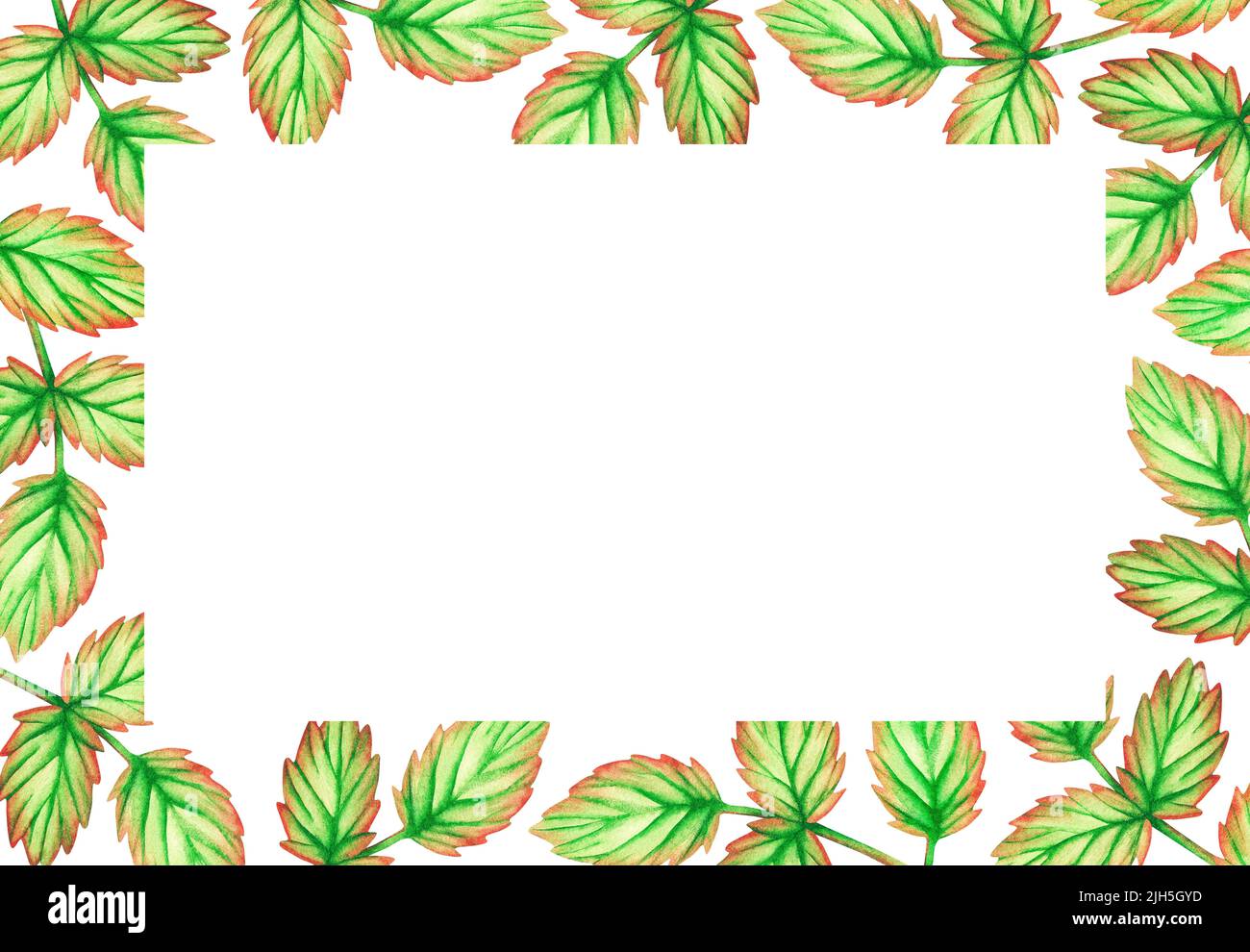 Rectangular frame made of leaves. Place for the inscription. Watercolor ...