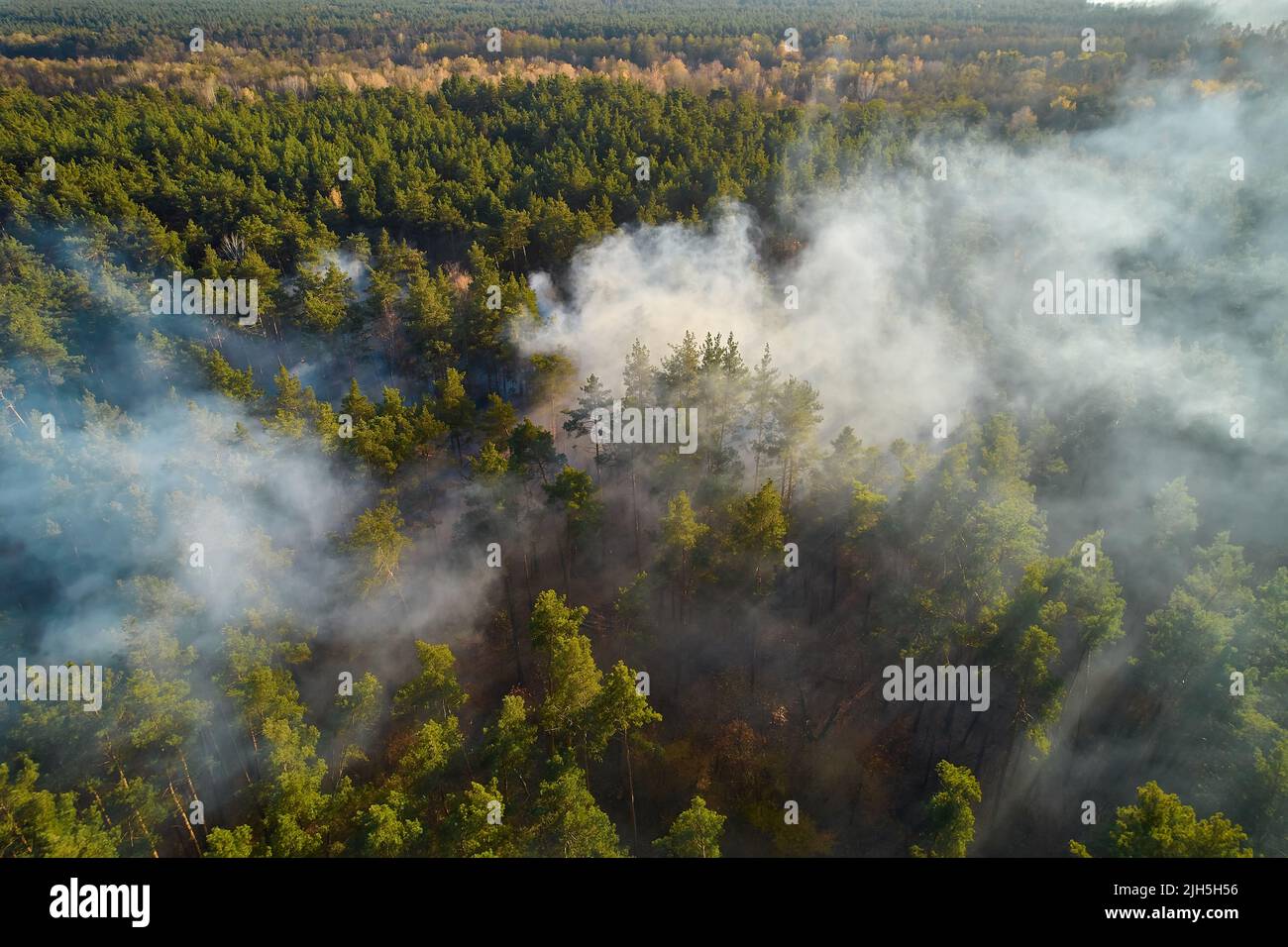 Aerial drone view of a wildfire in forested area. Stock Photo