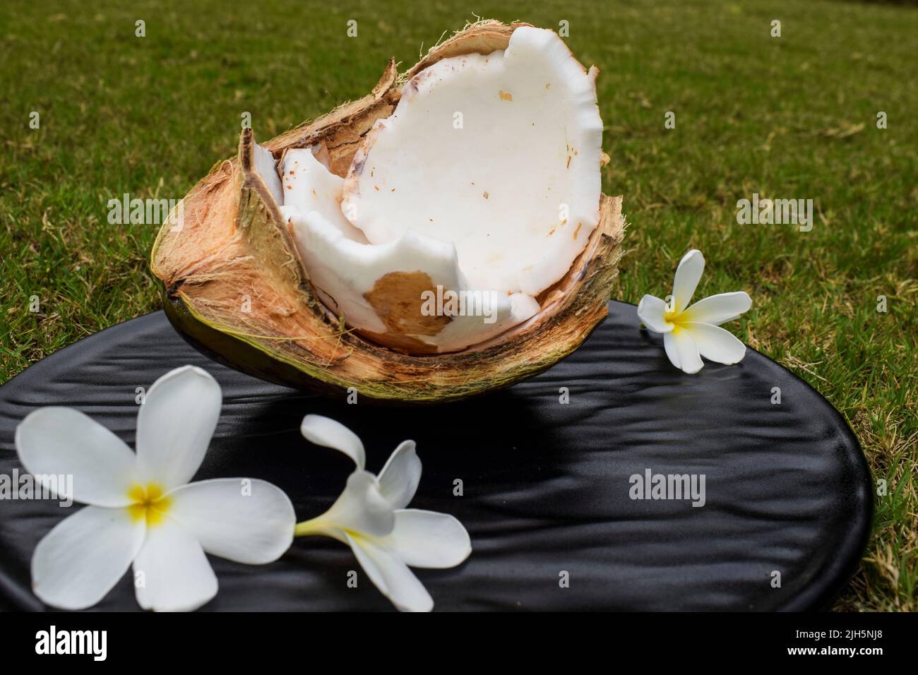 Half broken tender coconut. Fresh green coconut fruit organic edible