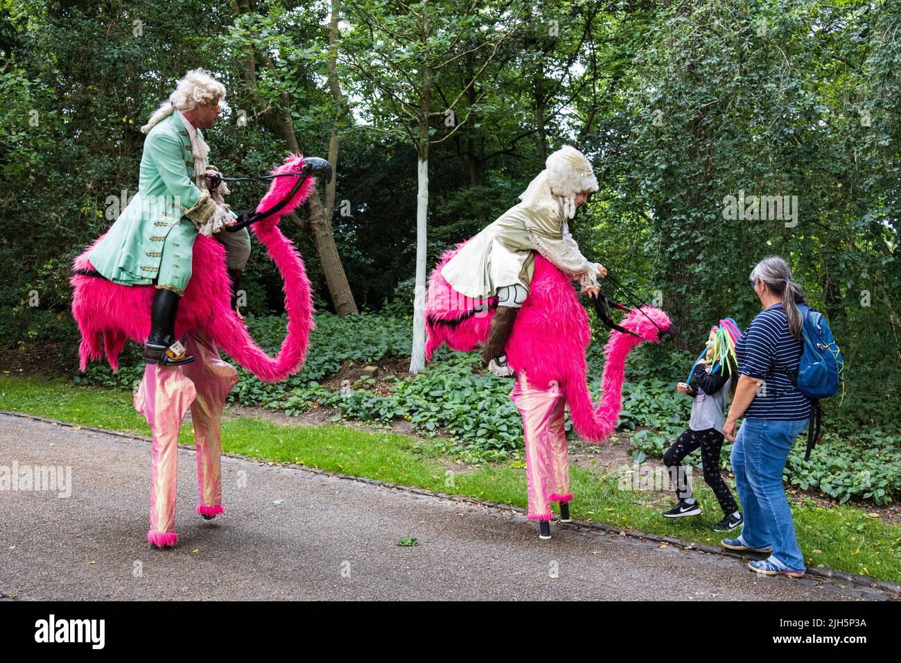 Bremen carnival with stilt walkers in colourful flamingo costumes, masks and samba rhythms, Bremen, Germany, Europe Stock Photo