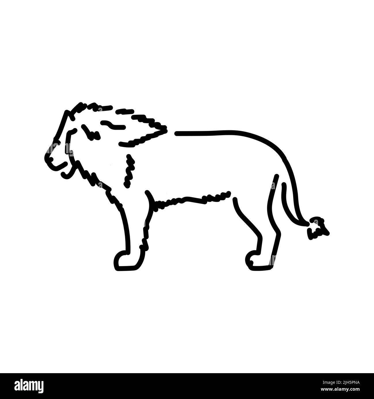 Lion color line illustration. Animals of Africa Stock Vector Image