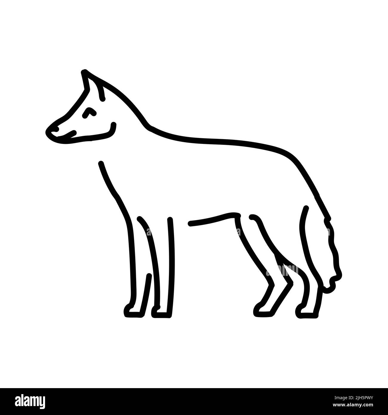 Jackal color line illustration. Animals of Africa Stock Vector