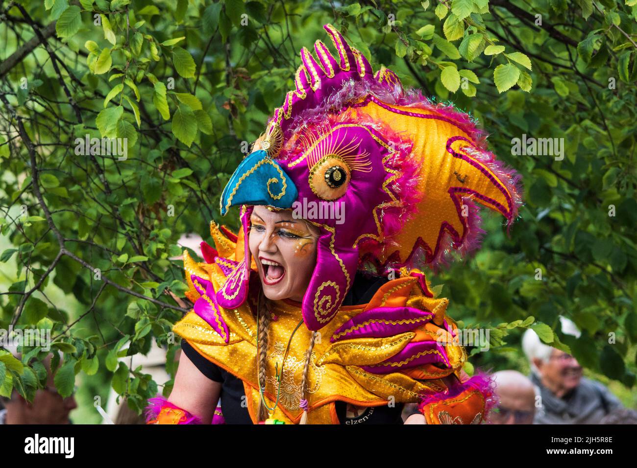 Bremen carnival with colourful costumes, masks and samba rhythms, Bremen, Germany, Europe Stock Photo