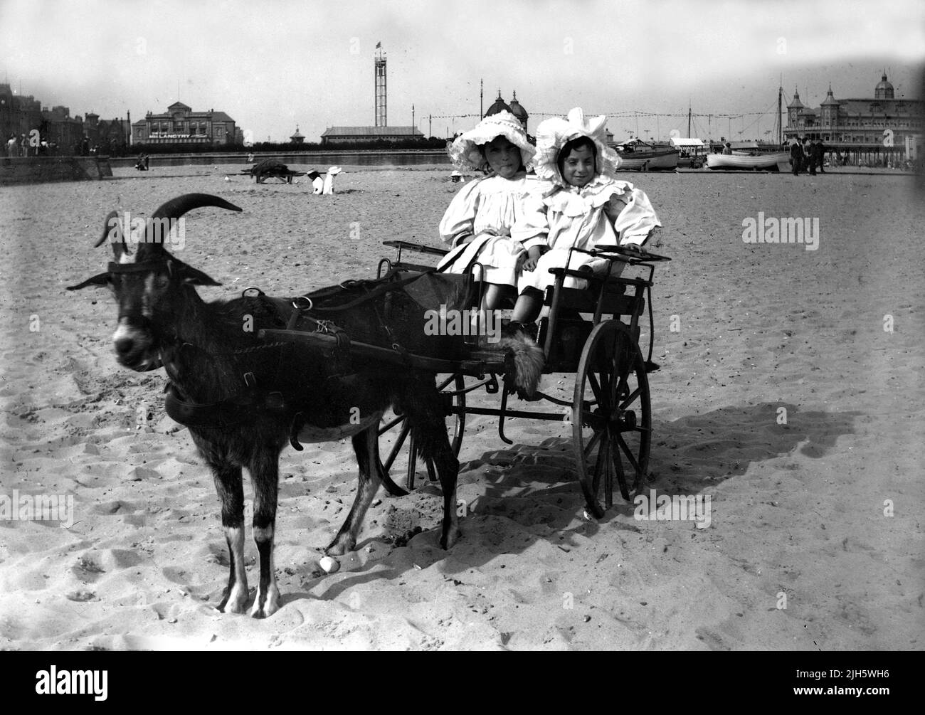 Great Yarmouth 1895 girls taking a ride in a cart pulled by a goat Stock Photo
