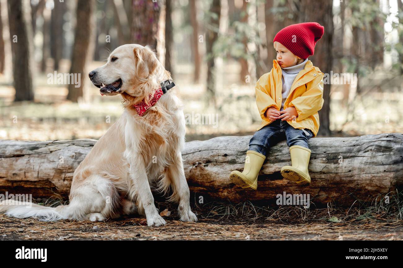 Little girl with golden retriever dog in the forest Stock Photo - Alamy
