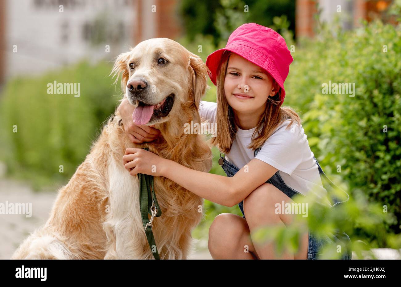 Preteen girl with golden retriever dog Stock Photo - Alamy