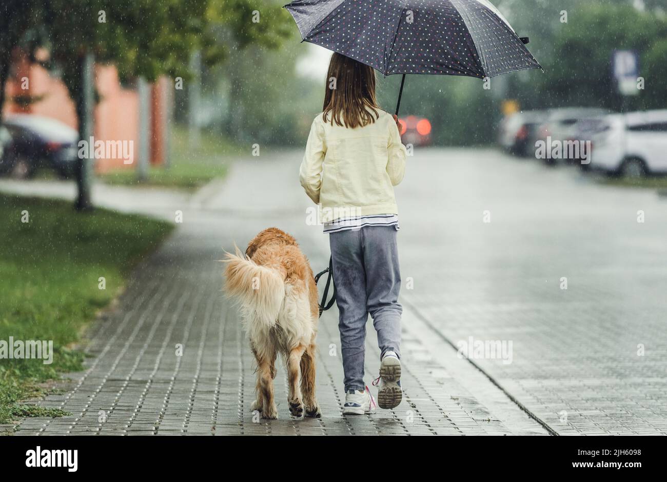 Girl with golden retriever dog in rainy day Stock Photo - Alamy