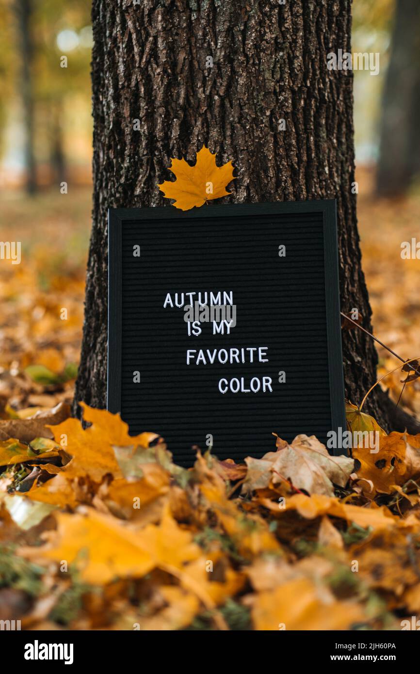 Letter message board with text Autumn is my favorite color. Autumn motivation quotes Stock Photo
