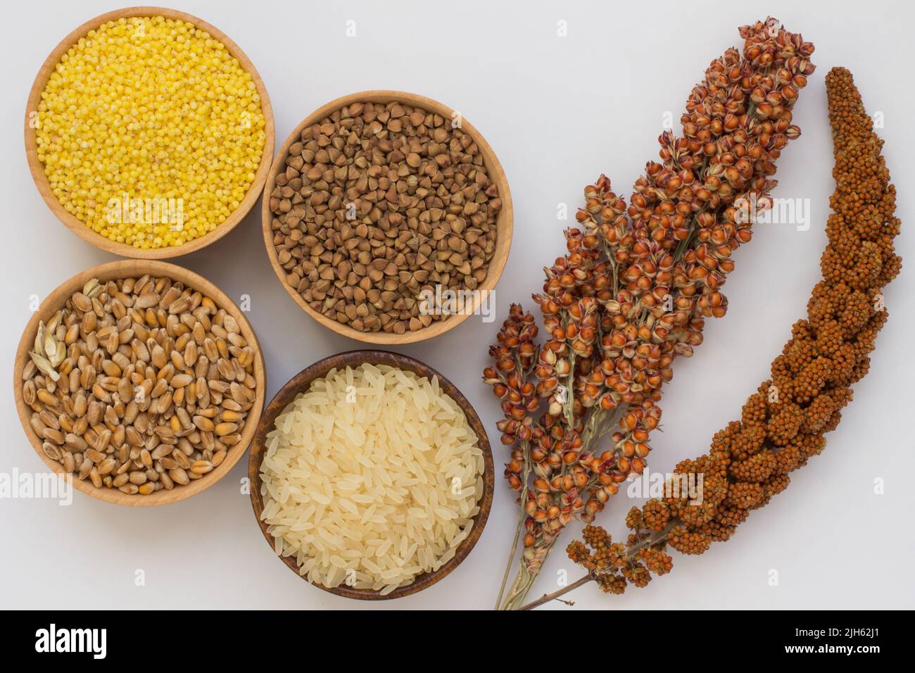 Twig red millet and grain buckwheat, millet, rice, wheat in
