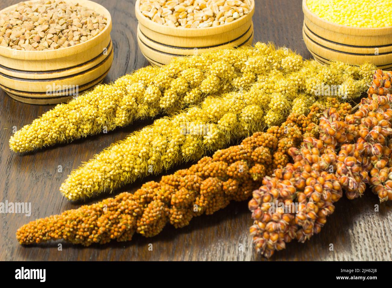 Twigs red and yellow millet. Wheat, buckwheat and millet in