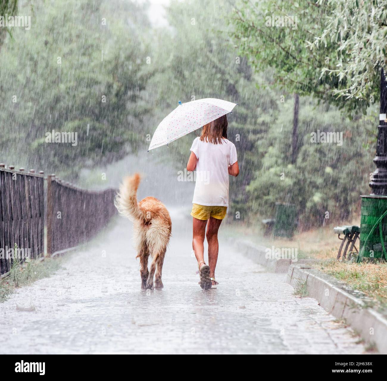 Girl with golden retriever dog in rainy day Stock Photo - Alamy