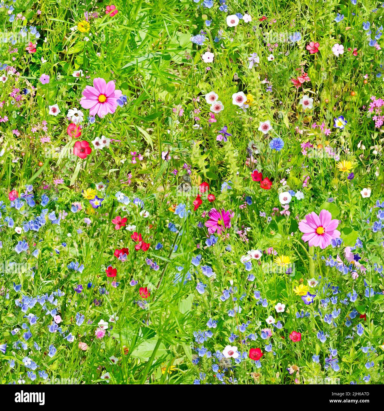 Seamless texture flowers. Large repeating natural background. Stock Photo