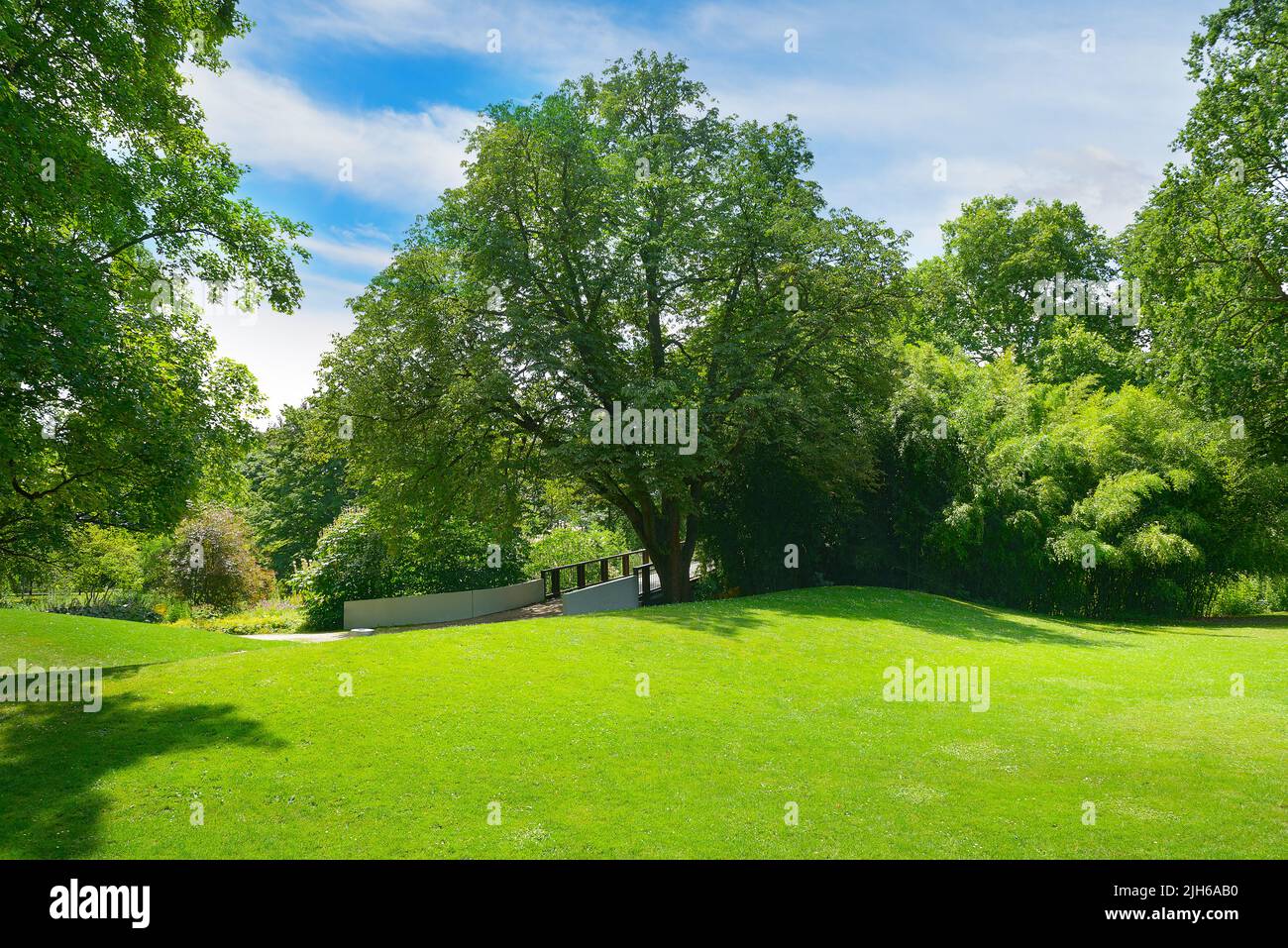 Outdoor park green grass garden hi-res stock photography and images - Alamy