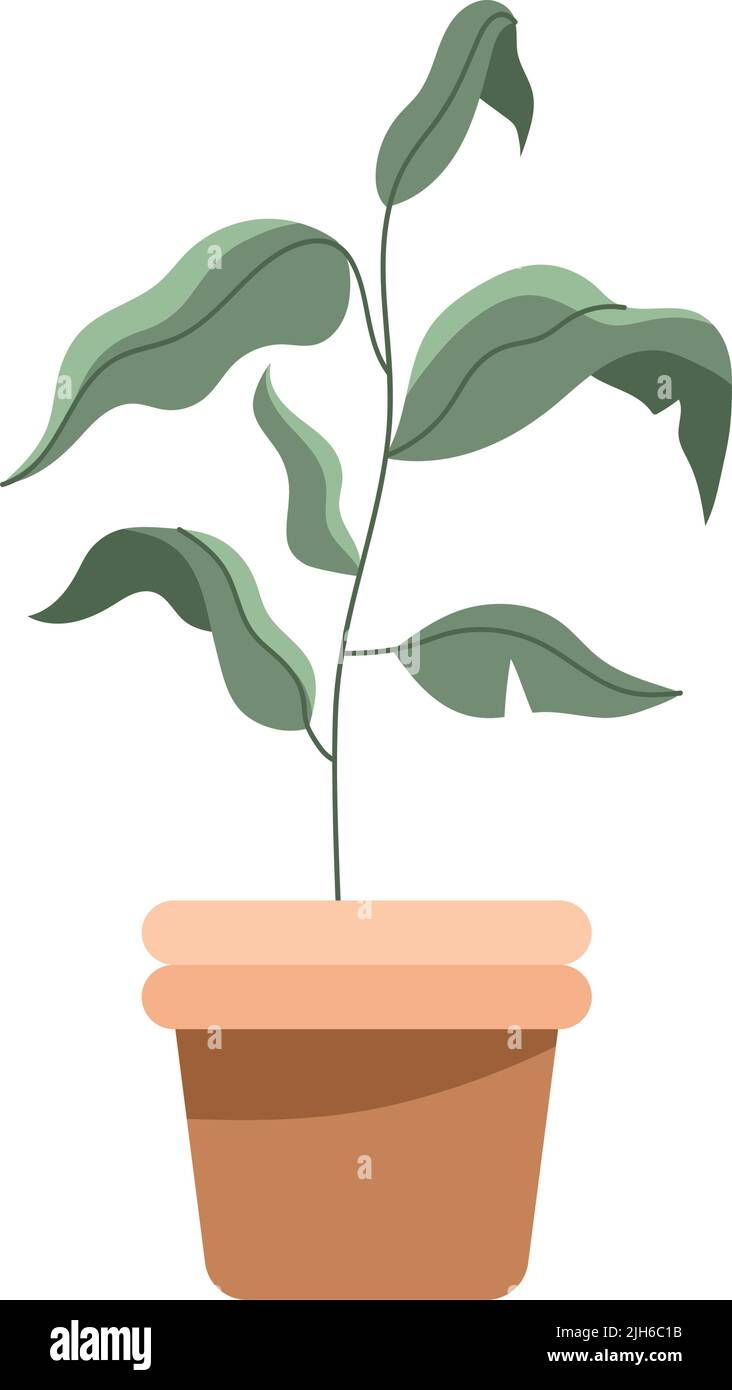 houseplant in pot nature icon Stock Vector Image & Art - Alamy