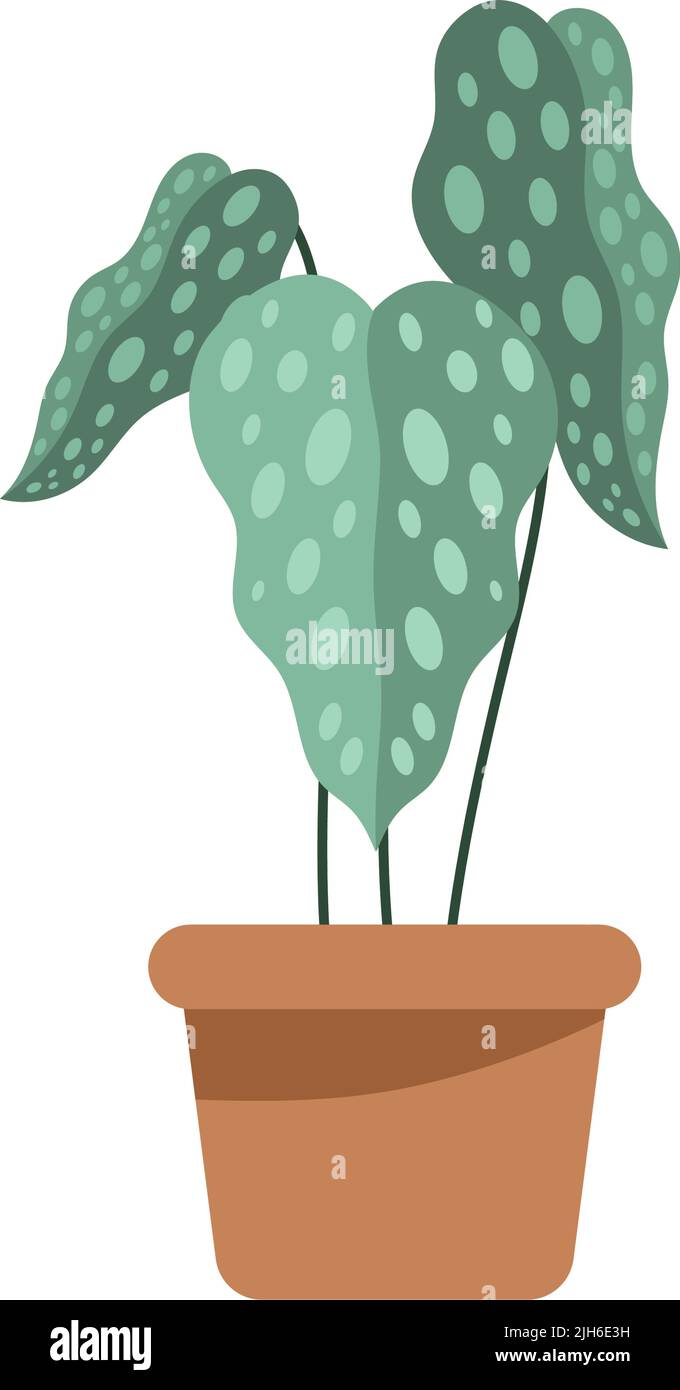 houseplant in orange pot icon Stock Vector Image & Art - Alamy