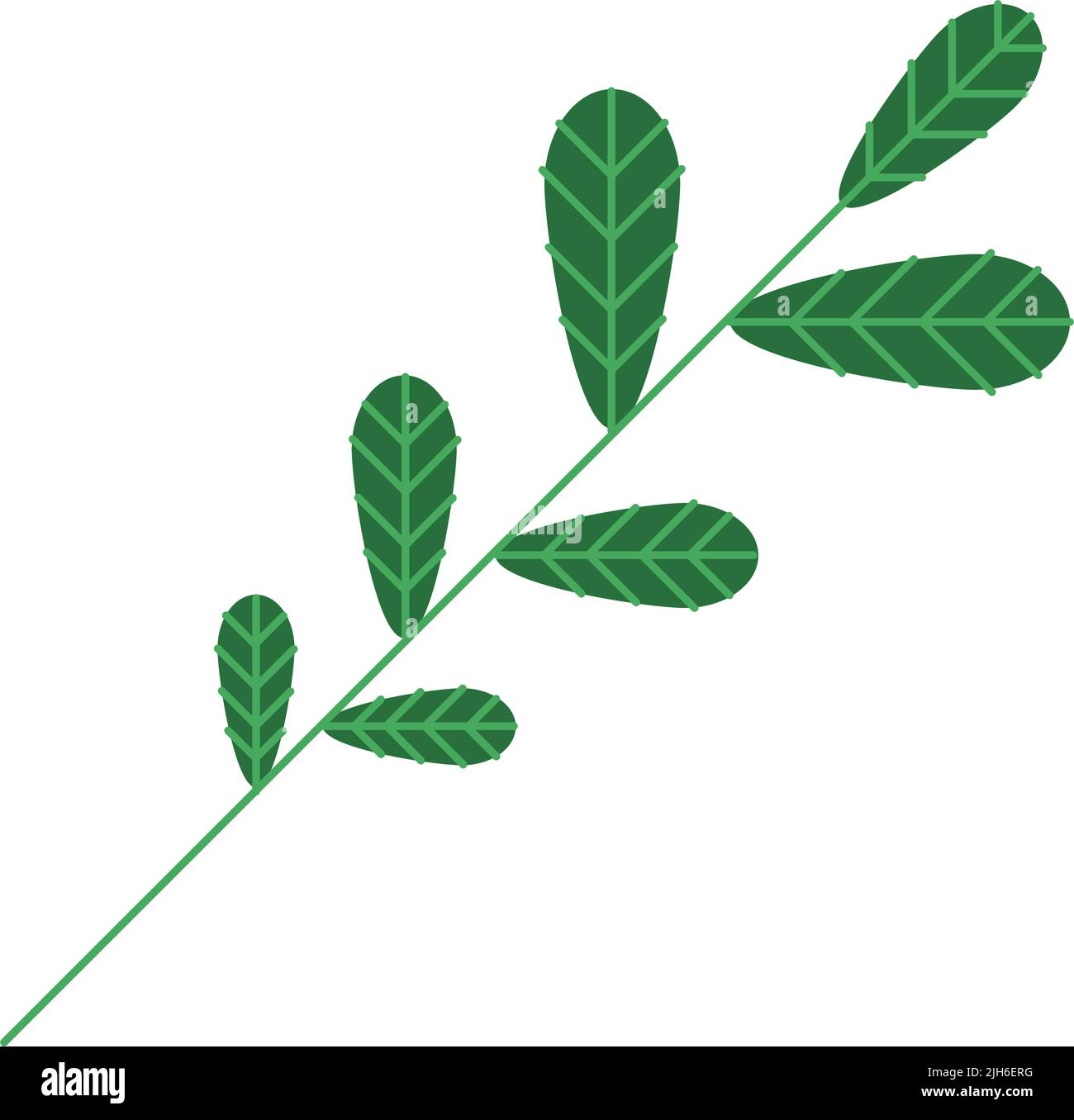 leaf plant foliage nature icon Stock Vector Image & Art - Alamy