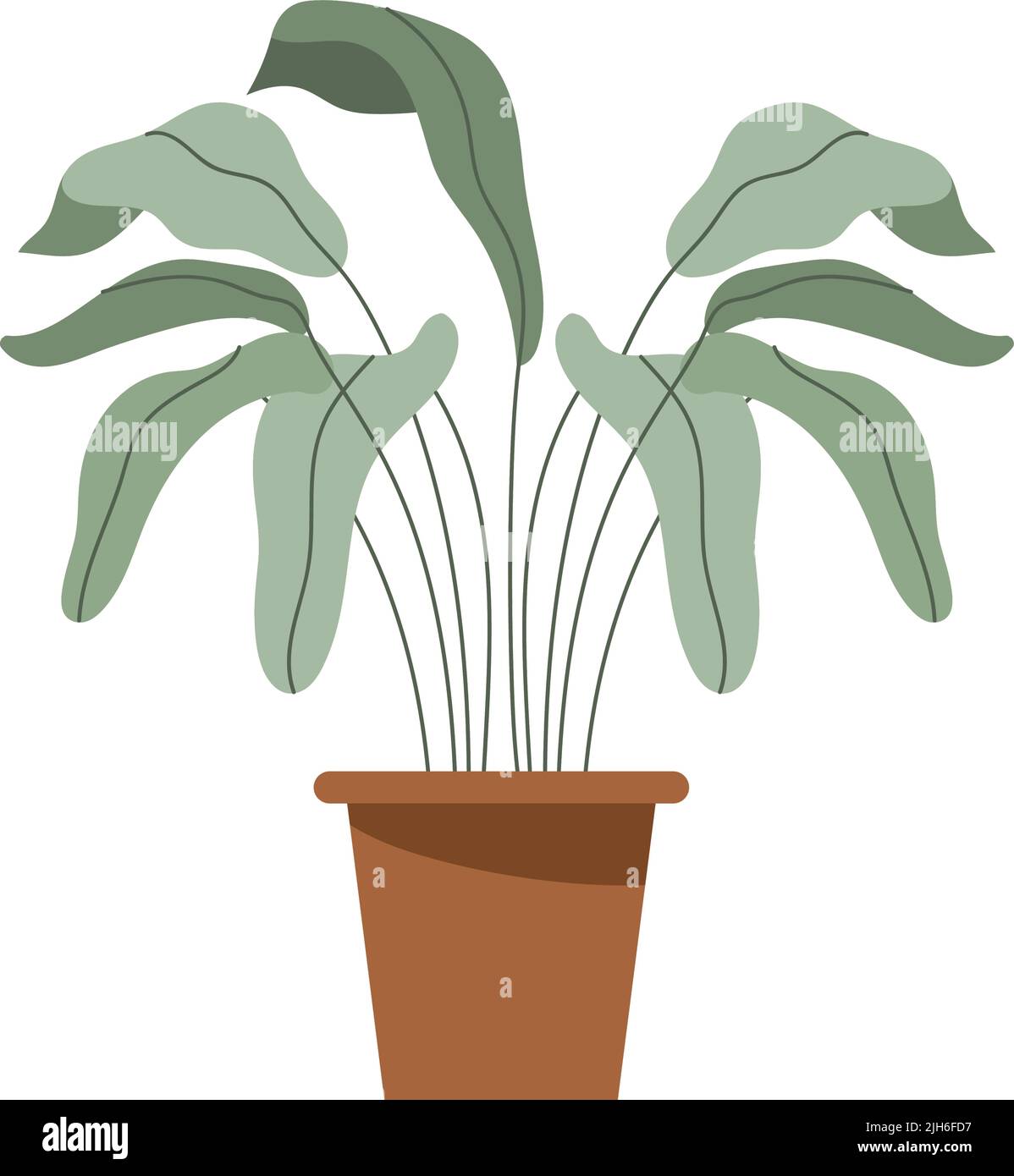 houseplant in classic pot icon Stock Vector Image & Art - Alamy